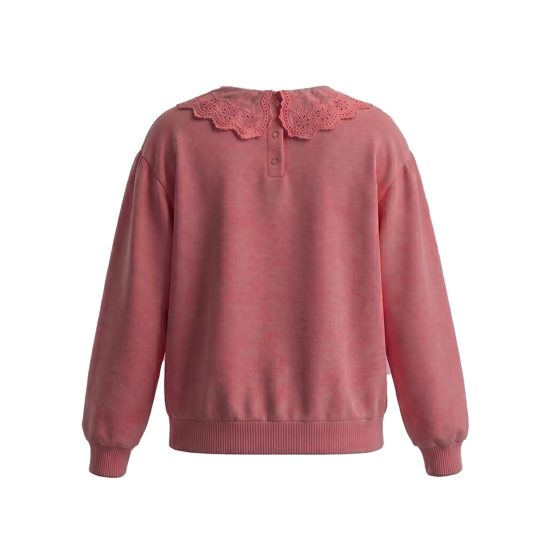 Your Wishes - French Knit | Collar Sweater