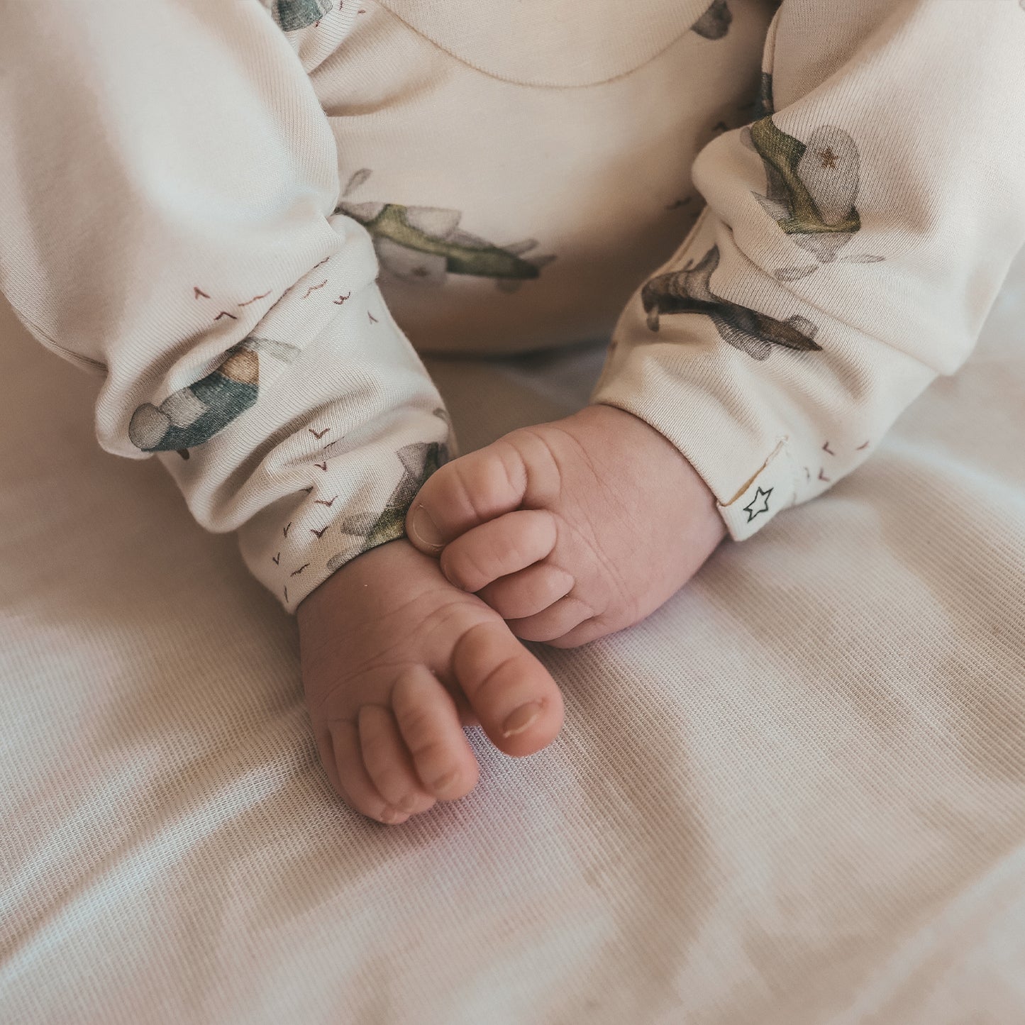 Avion | Fitted pants