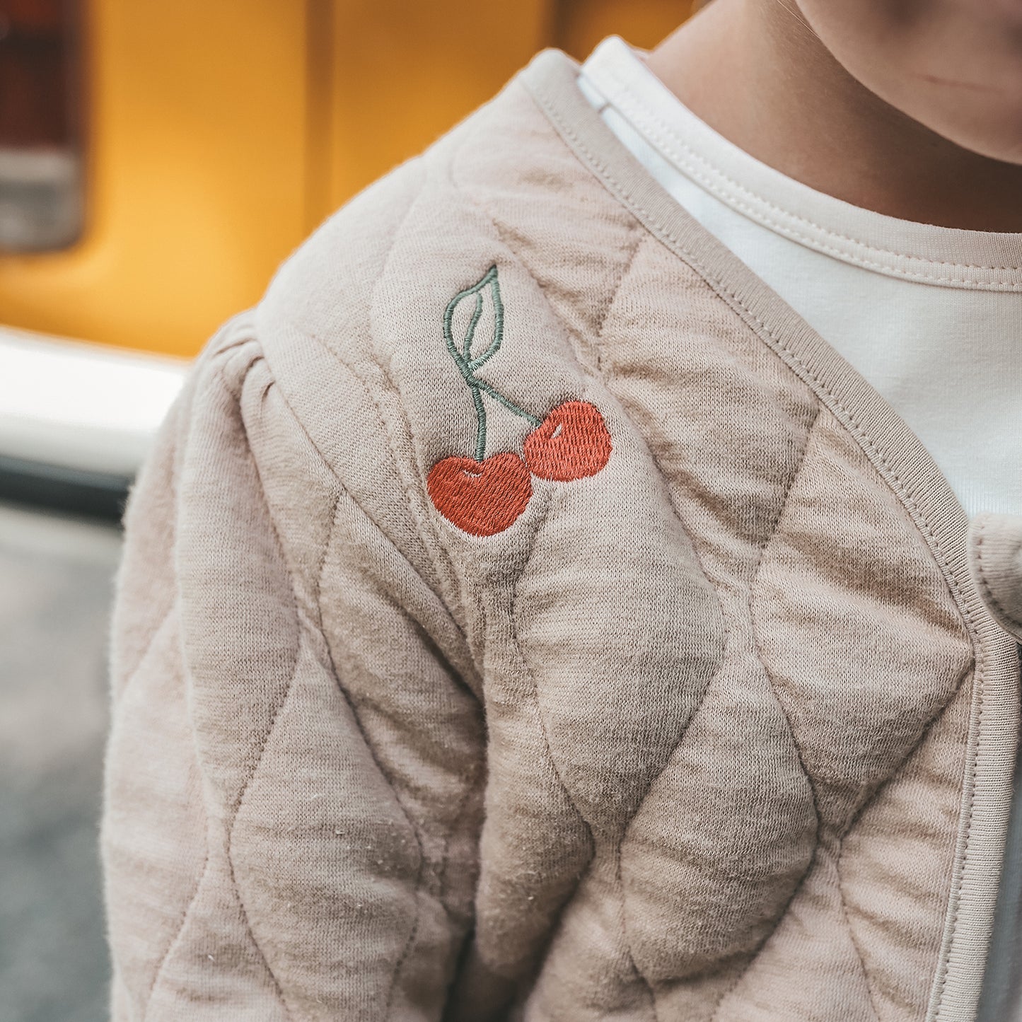 Quilted Jersey | Embroidered Jacket